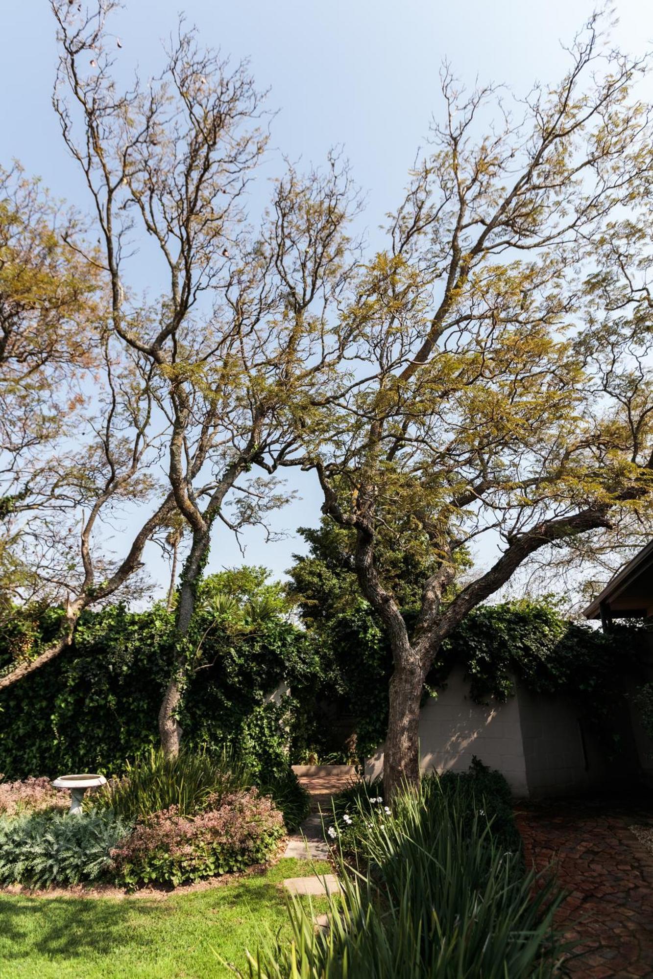 Bona Vista Self-catering Apartment