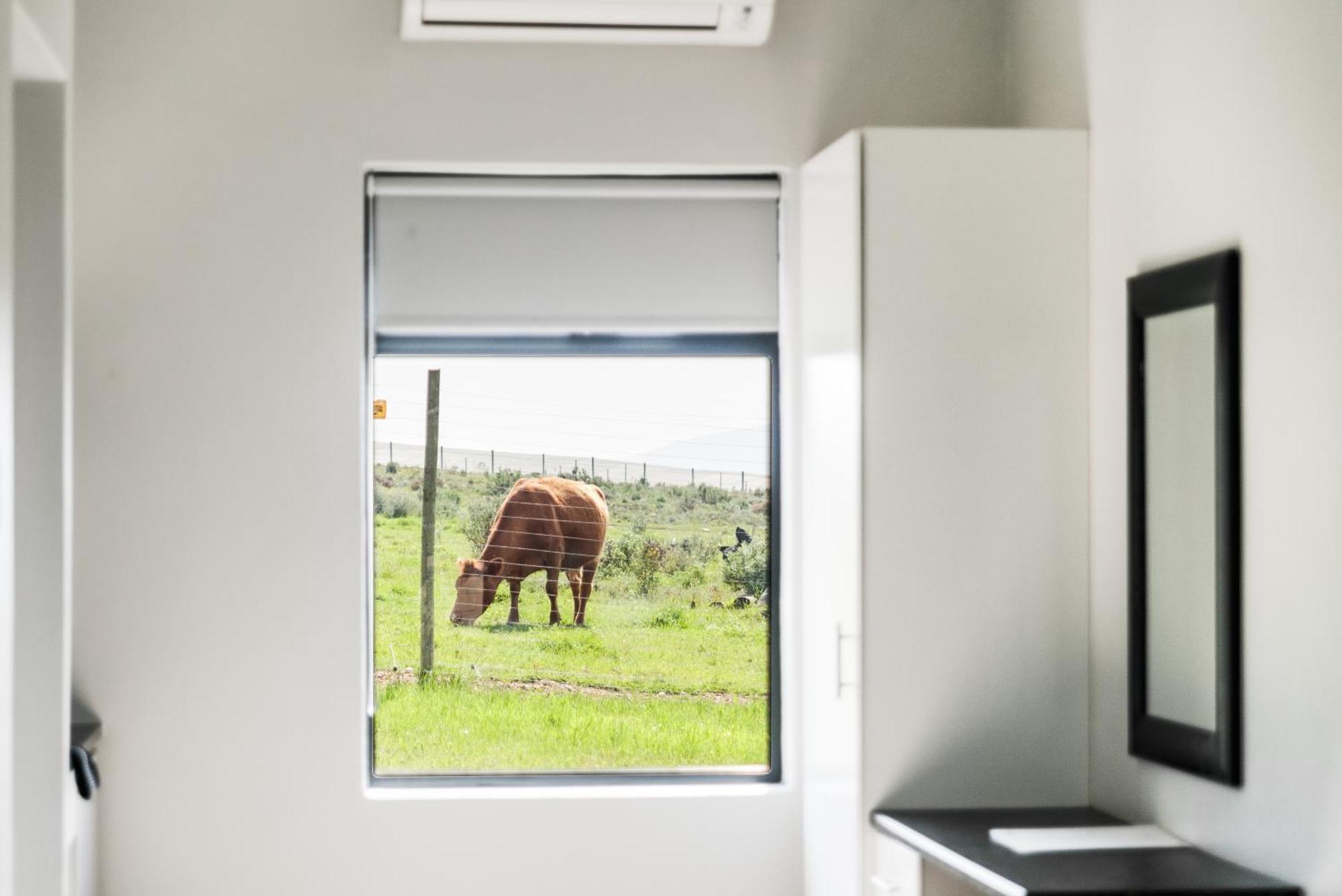 Bona Vista Self-catering * Klapmuts
