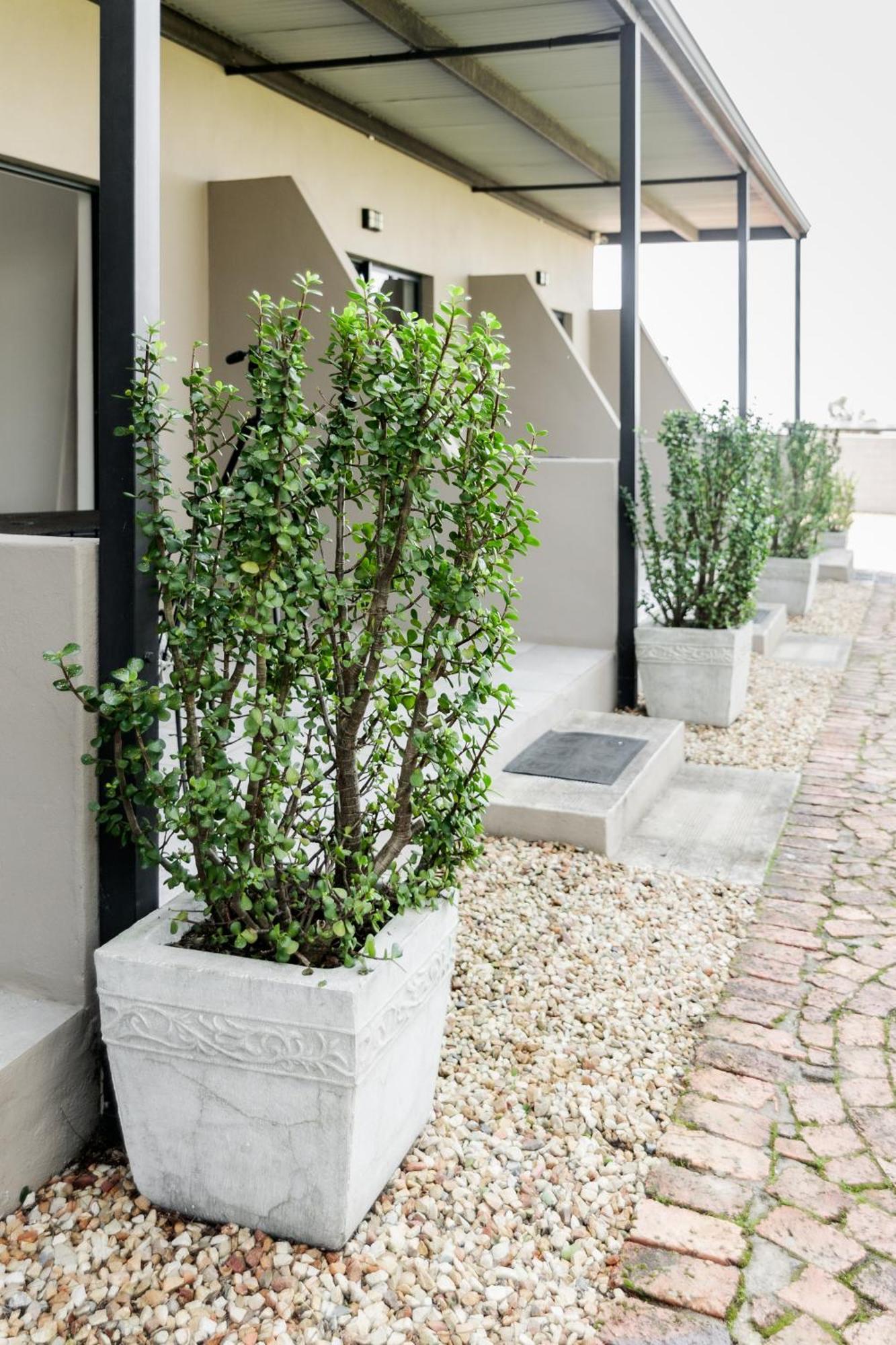 Apartment Bona Vista Self-catering *
